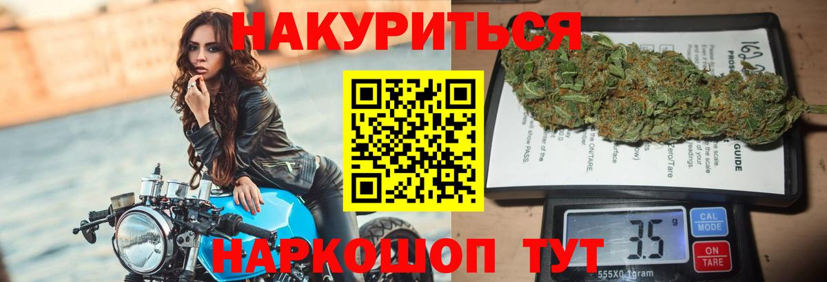 Конопля гибрид Красноперекопск